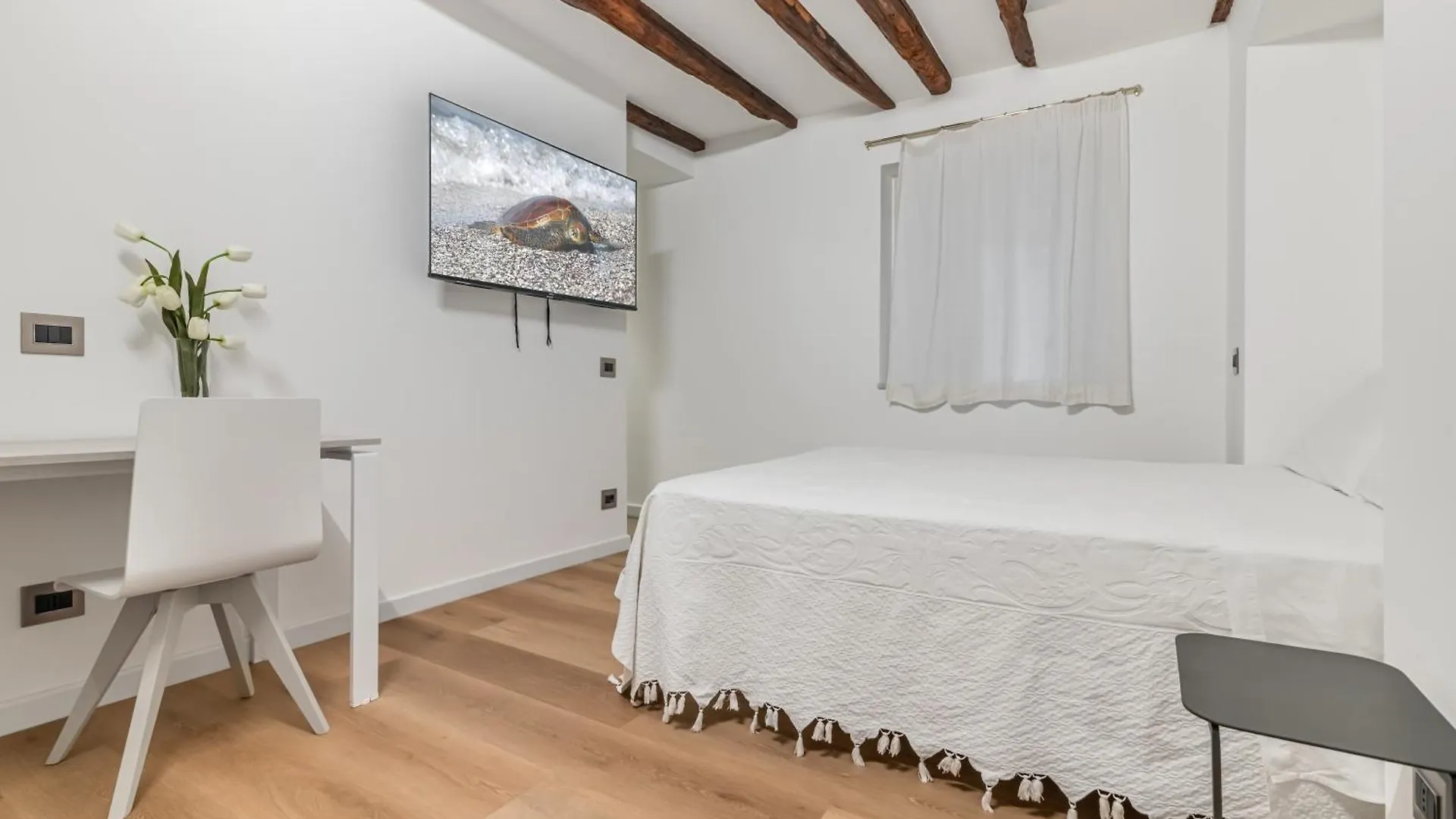 Piazza Indipendenza Loft & Rooms Palermo